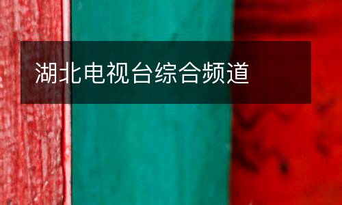 湖北電視臺(tái)綜合頻道