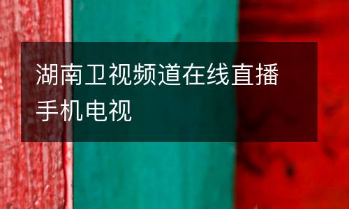 湖南衛(wèi)視頻道在線直播手機電視