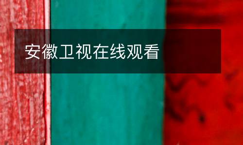 安徽衛(wèi)視在線觀看