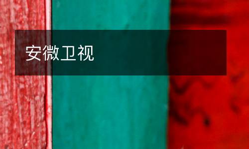 安微衛(wèi)視