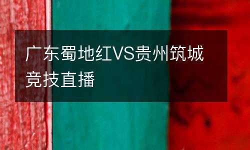 廣東蜀地紅VS貴州筑城競技直播