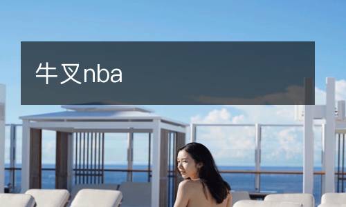 牛叉nba