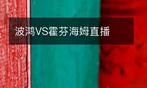 波鴻VS霍芬海姆直播