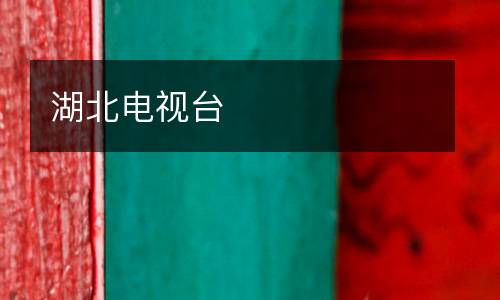 湖北電視臺