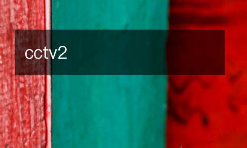 cctv2