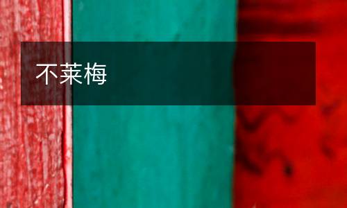 不萊梅