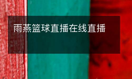 雨燕籃球直播在線直播