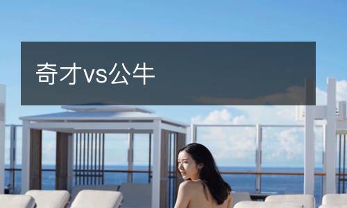奇才vs公牛