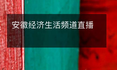 安徽經(jīng)濟生活頻道直播